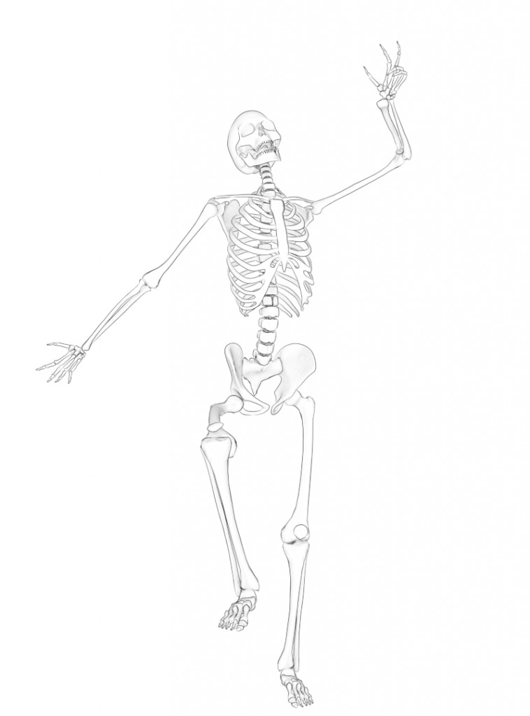 Rigged Skeleton preview image 1